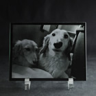 プレート　ブラック