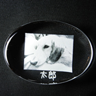 ペーパーウェイト　丸