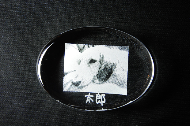 ペーパーウェイト　丸　イメージ