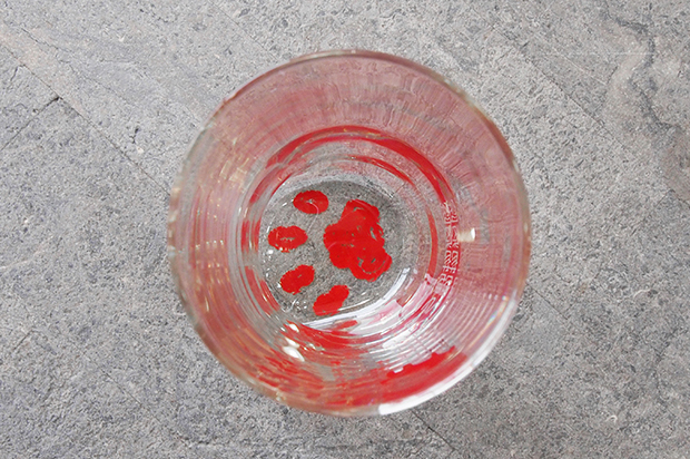 足あとグラスイメージ3